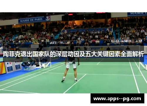 陶菲克退出国家队的深层动因及五大关键因素全面解析