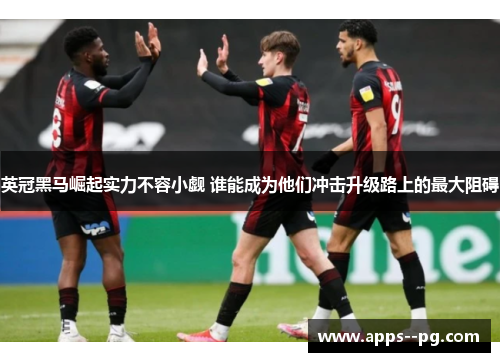 英冠黑马崛起实力不容小觑 谁能成为他们冲击升级路上的最大阻碍